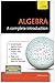 Algebra: A Complete Introduction (Teach Yourself)