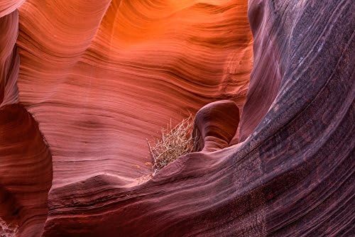 Slot Canyons - Arizona - Rattlesnake Canyon Cachet