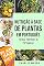 Livro Nutrição À Base de Plantas Em português/ Herbal Nutrition In Portuguese: Guia Sobre Como Comer Saudavelmente Para Um Corpo Saudável