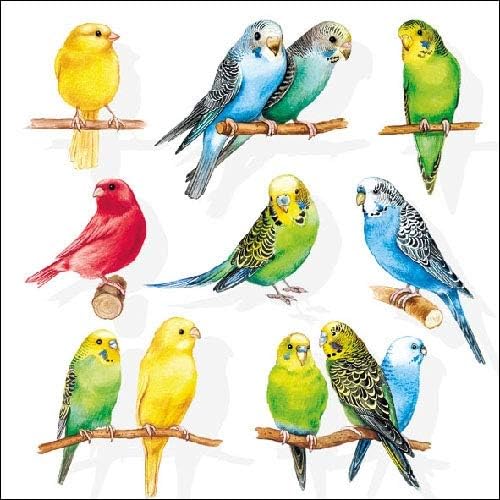 4 Paper Napkins for Decoupage - 3-ply, 33 x 33cm - Birdies (4 Individual Napkins for Craft & Napkin Art.)