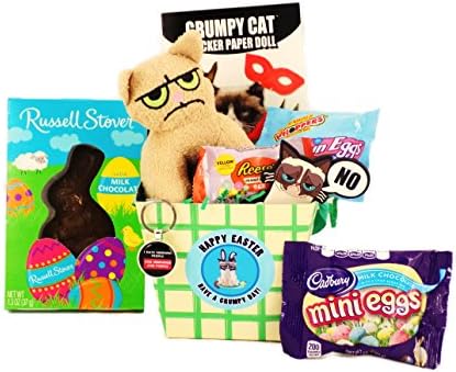'Happy Easter ~ Have a Grumpy Day!' Grumpy Cat Themed Easter Candy and Toy Gift Basket