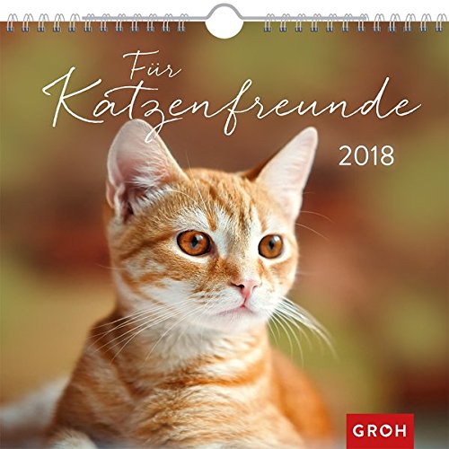 fur katzenfreunde 2018 dekorativer wandkalender mit monatskalendarium masse bxh 21x20cm groh joachim amazon de bucher