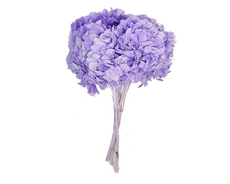 Zelda Bouquet De Fleurs Dhortensia Stabilisée Avec étoiles