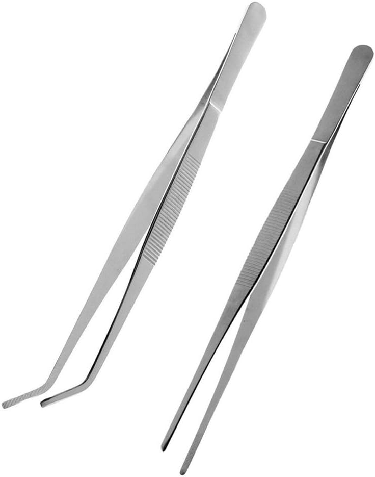 HMILYDYK 2 PCS Long Stainless Steel Stright and Curved Tweezers Set Clips Tip Nippers Gardening Tools 10” Feeding Forceps Tongs