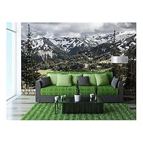 Nature Scenery with Trees and Mountain Peaks in The Background - Removable Wall Mural | Self-Adhesive Large Wallpaper - 66x96 inches