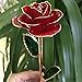 POLEND Love Forever Long Stem Dipped 24k Gold Foil Trim Rose,with The Clear Crystal Stand,Best Gift for Valentine's Day Gifts,Mother's Day, Anniversary, Birthday Gift,Christmas(Red)