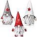 3 Pieces Christmas Gnome Mini Plush Handmade Santa Cloth Doll Snowman Xmas Figurines Toy Birthday Present for Home Christmas Holiday Decoration（Santa Gnome Plush）