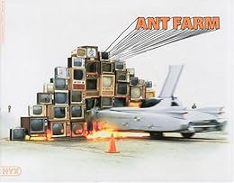 Ant farm