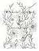 The Botanical Coloring Book by Melanie G. Pridgen: Melanie G. Pridgen's Botanical Coloring Book (Melanie G Pridgen's Adult Coloring Books) by 