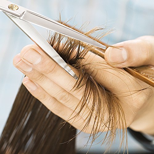 Ameauty Professional Hair Cutting Scissors, 100% Stainless Steel Razor Edge Hairdressing with Antislip Design(6.7" Overall Length)
