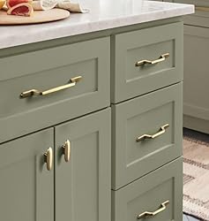 Goo-Ki 6 Pack Champagne Bronze Cabinet Handle