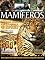 Livro Guia de Animais Brasileiros: Mamíferos