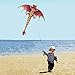 ZS-Juyi 2019 Pterosaur Kite Dinosaur Kite Line Breeze Kids Outdoor Fun Sports for Adults(Dinosaur2)