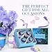 Bath Bombs Gift Set, 5.5 Oz Each Luxurious Bath Bomb Kit with Essential Oils, Lush Spa Floating Fizzies, Rich and Colorful Bubbles, Gift Ideas for Women & Kids, Pack of 4