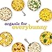 Annie's Organic Macaroni and Cheese Dinner, Farm Friends & Cheddar, 6 oz.