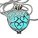 Wishing Heart Fairy Magical Fairy Glow in the Dark Necklace-aqua-sil