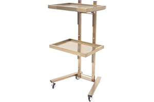 MhdunueSK 2 Tier Metal Rolling Cart, 33.86 Inch Salon Tray on Wheels, Folding Salon Tray Trolley, Stainless Steel Gold Rolling Cart, Esthetician Cart for Salon Studios Shop (Gold)