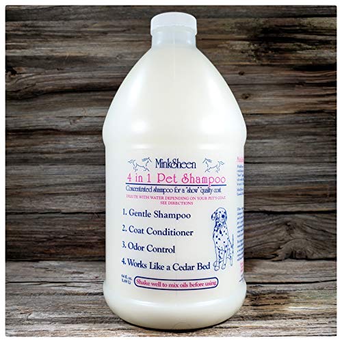 Top 5 Best Smelling Dog Shampoo Reviews The Pet Town