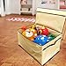 EasyGoProducts Giant Toy Box Folding Toy Trunk Organizer, Toy Chest Collapsible Storage Bin, Great for Nursery or Any Room with Toy Box Lid and Side Handles - 30