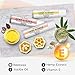 Organic Hemp Lip Balm | Natural Beeswax Lip Balm Set | All Natural Lip Balm w/Jojoba Oil, Coconut Oil & Essential Oils | Best Hemp Chapstick for Dry, Chapped & Cracked Lips | Lip Repair | 3 Pack