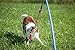 Tether Tug Fleece Rope Toy | Dog Toy for Interactive, Outdoor Play Kits & Easy Tug Toy | Ideal for Small Dogs & Puppies | One Size