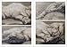 Drawing Samples for Copying (Obraztsy Dlya Kopirovaniya)