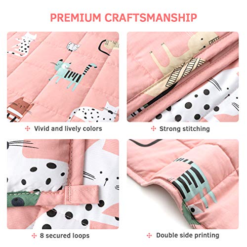 Mr. Sandman 5 lbs Weighted Blanket for Kids Twin Size Bed, Perfect for