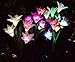 [4 Pack] Solar Garden Lights with 16 Lily Flowers | Color Changing LED Solar Stake Lights for Garden, Patio, Path, Backyard