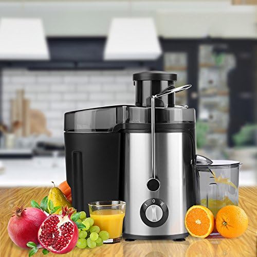 Flagup 350 Watt Juicer Juice Extractor, Dual Speed Setting Whole Fruit Juicer High Speed Centrifugal Fruit Machine