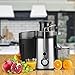 Juicer Juice Extractor High Speed for Fruit and Vegetables Dual Speed Setting Centrifugal Fruit Machine Powerful 350 Watt with Juice Jug, Premium Food Grade Stainless Steel