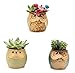 Weierken Mini 6PCS Owl Pot Ceramic Flowing Glaze Base Serial Set Succulent Plant Pot Cactus Plant Pot Valentine's Day Container Planter Bonsai Pots with A Hole, Christmas