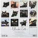 Black Cats 2017 Wall Calendar