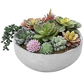 MyGift 8-Inch Faux Succulent Arrangement, Assorted Fake Plant in Gray Concrete Bowl Planter 51PmUMig 0L