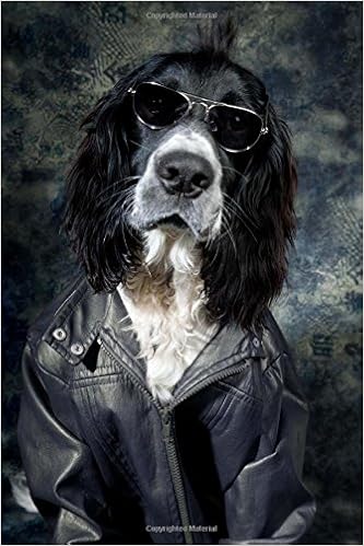 dog leather jacket amazon