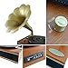 Bluetooth Compatible Gramophone Vintage Turntable - Classic Retro Record Player Speaker System w/ 2-Speed, Full Range Stereo Speakers, Convert Vinyl to Digital MP3, USB, AUX, RCA - Pyle PNGTT12RBT