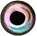 Brule 3-D Hard Epoxy Eyes (BlueShimmer, 6mm)
