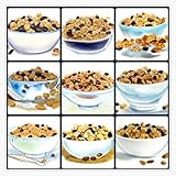Magnet Raisin Bran Cereal Art Magnetic Vinyl