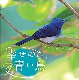 幸せの青い鳥 真木 広造 真木 広造 本 通販 Amazon