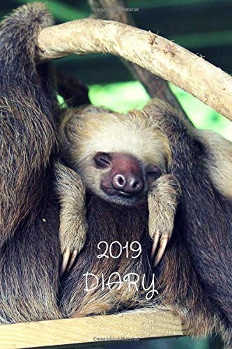 Pocket 2019 Jungle Sloth Diary Book Journal: Mini Daily & Weekly Calendar With Password Log & Address Book; Purse Notebook With Inspirational Quotes; Small Little Monthly Goals Tracker With To Do List by ZenWerkz