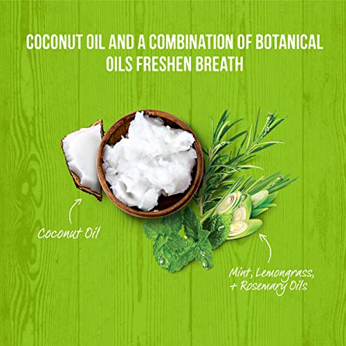 Merrick Fresh Kisses Coconut + Botanical Oils Dental Dog Treats For