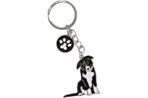 HDKUW Dog Keychain Gift,Large Dog Memorial Collar Charm for Birthday Holiday Gifts,Puppy Metal Pet ID Tags