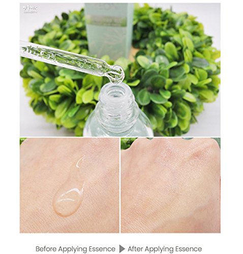 Korean Skin Care - The YEON Lotus Root 365 Moisture Capsule Essence (50 ml/Net wt. 1.7 oz) - Moisture Barrier