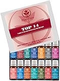 Premium Essential Oil Synergy Blends Variety Set Kit - 14 Pack - 100% Pure Therapeutic Grade 10 ml. Set Includes 14/10 ml. Perfectly Blended Synergy Oils.