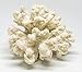 White Resin Sea Coral Piece | 3.5