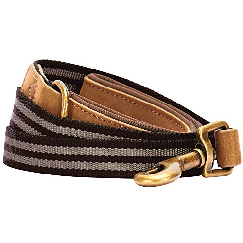 Blueberry Pet 6 Colors Classic Staple Striped Genuine Leather and Polyester Webbing Dog Leash with Soft & Comfortable Handle, 4 ft x 1", Chocolate & Taupe, Leashes for Dogs