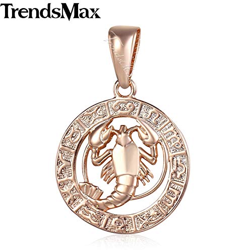 Zodiac Constellations Pendants Necklaces For Women Men 585 Rose Gold Men Jewelry Fashion Birthday Gifts