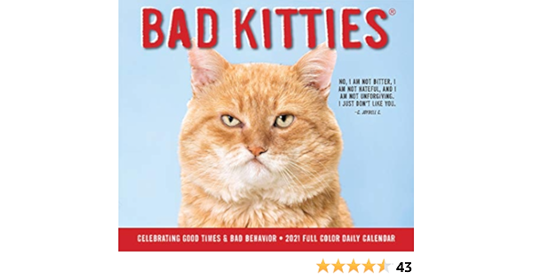 Miyuhji Utaqm Bad Kitties Calendar 2022