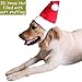 Bolbove Big Christmas Hat and Santa Collar with Bell for Medium to Large Dogs (Large)