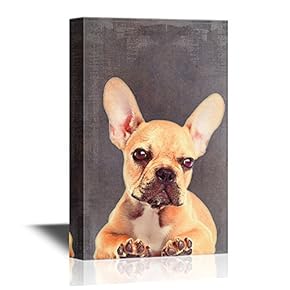 Artistic Dog Illustration on Grunge Background