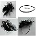 Coolr Fascinators Hair Clip Headband Feather Flower Veil Wedding Headwear Bridal 1920s Headpiece, A Black, One Size